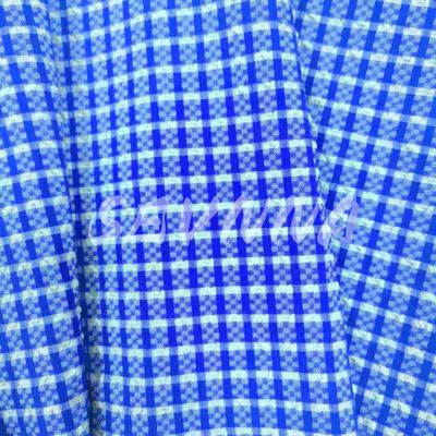 Yüksek Elastisite Özel Renkli Bikini için Polyester Spandex Kumaş Renkli